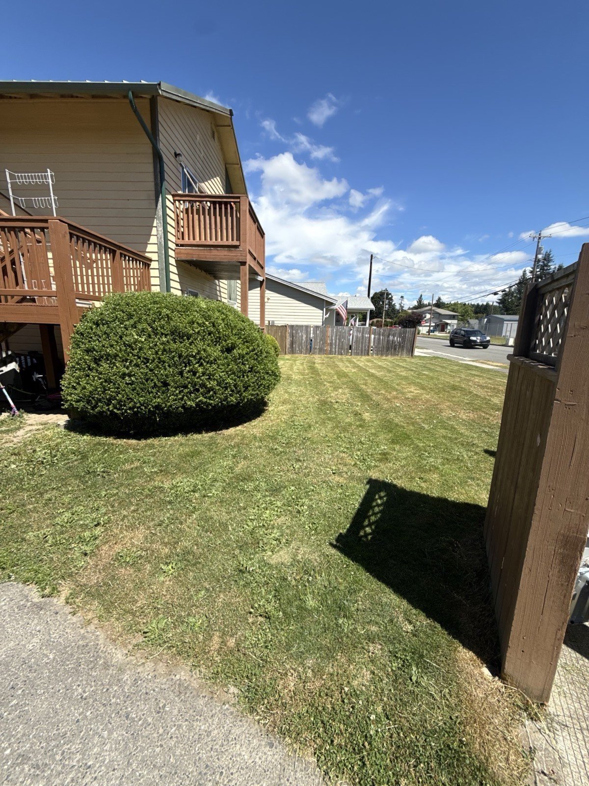 Trimmed lawn edge beside a backyard pergola and shed