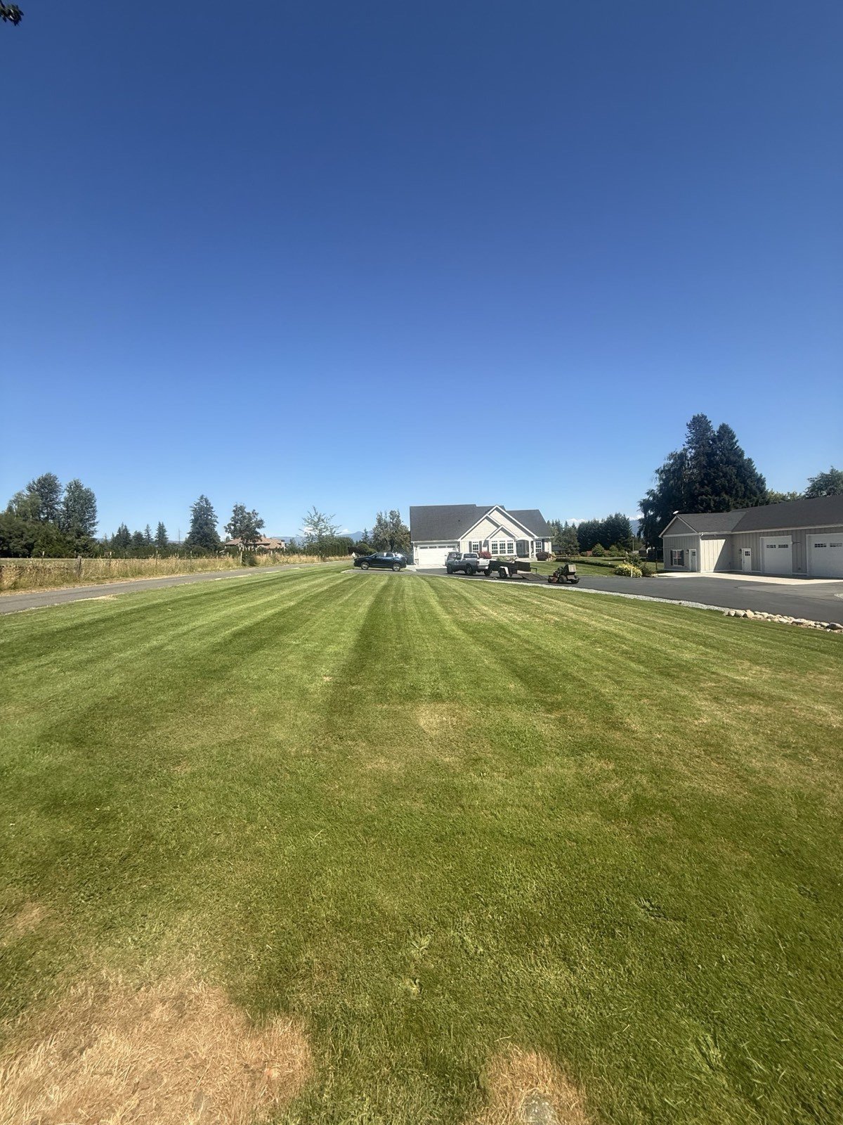 Freshly mowed and striped front lawn with mowing equipment