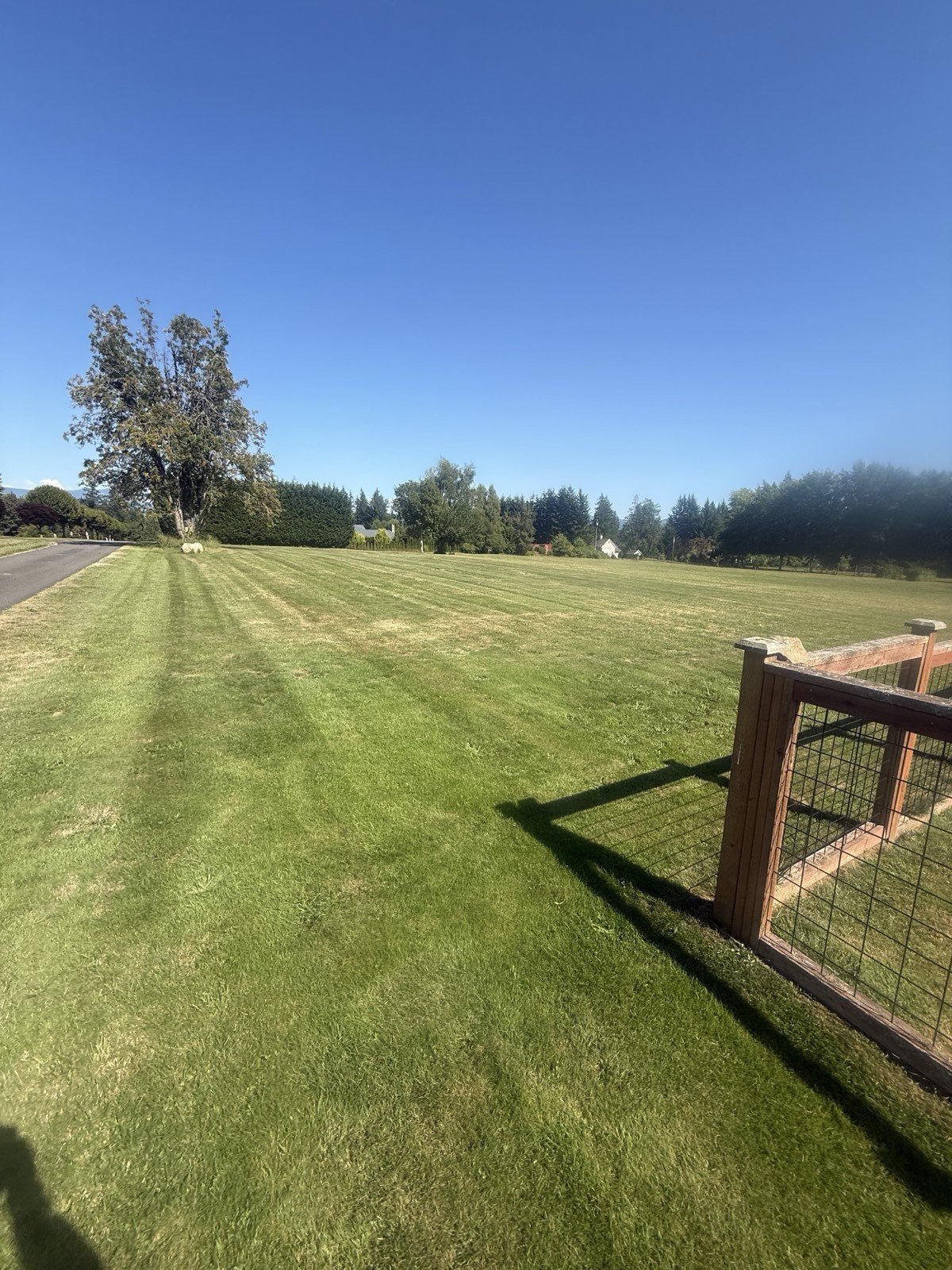 Freshly mowed lawn edge along a wood fence line